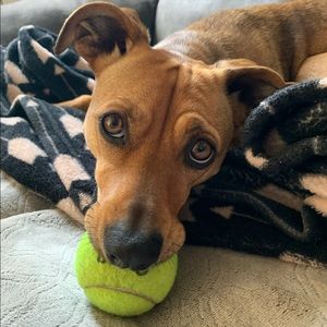 Meet your Posher, April